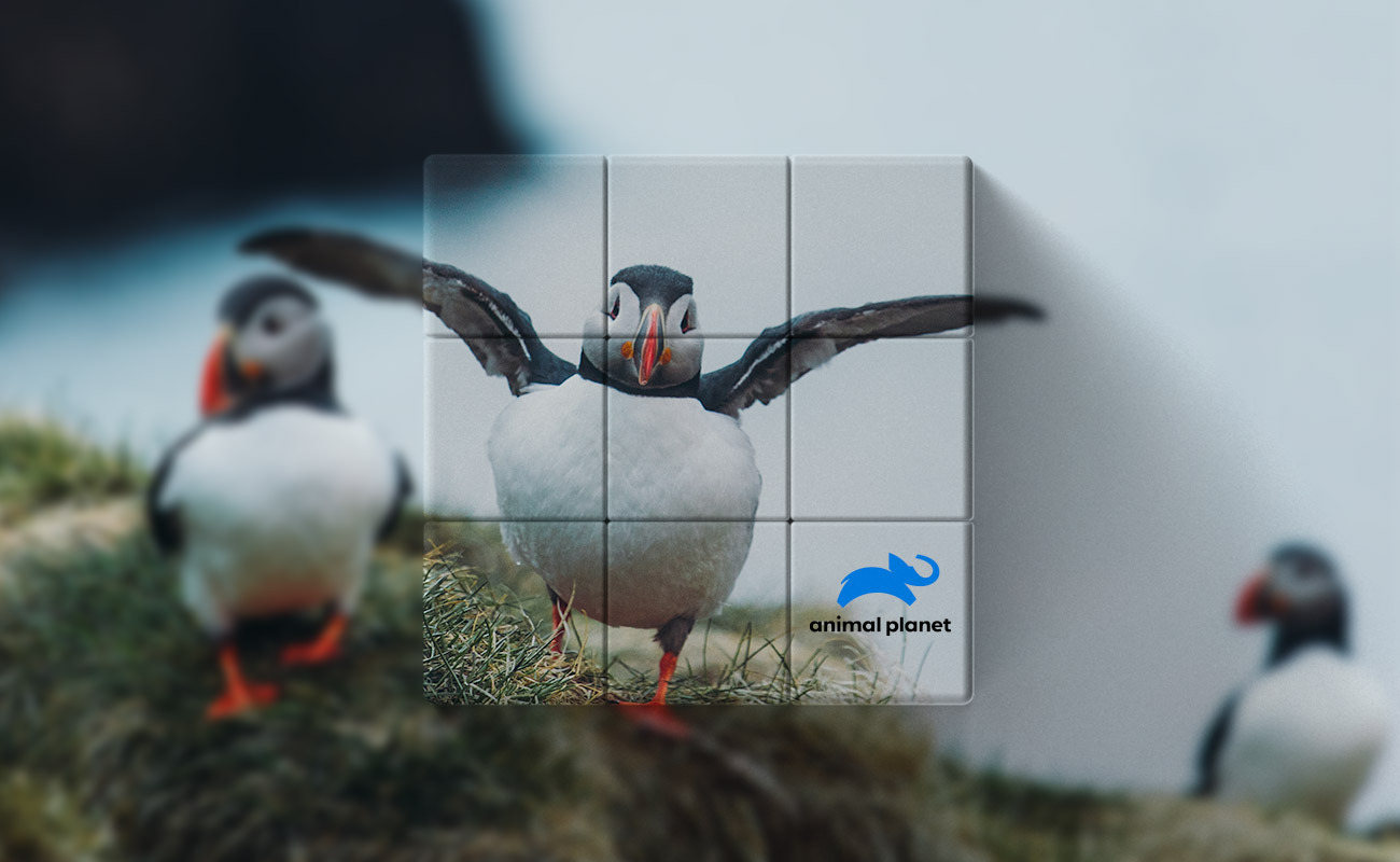 Blox - Személyre szabott Varázskocka gallery thumbnail
