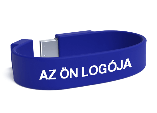 Lizzard - Pendrive Logózás Lizzard - Pendrive Logózás