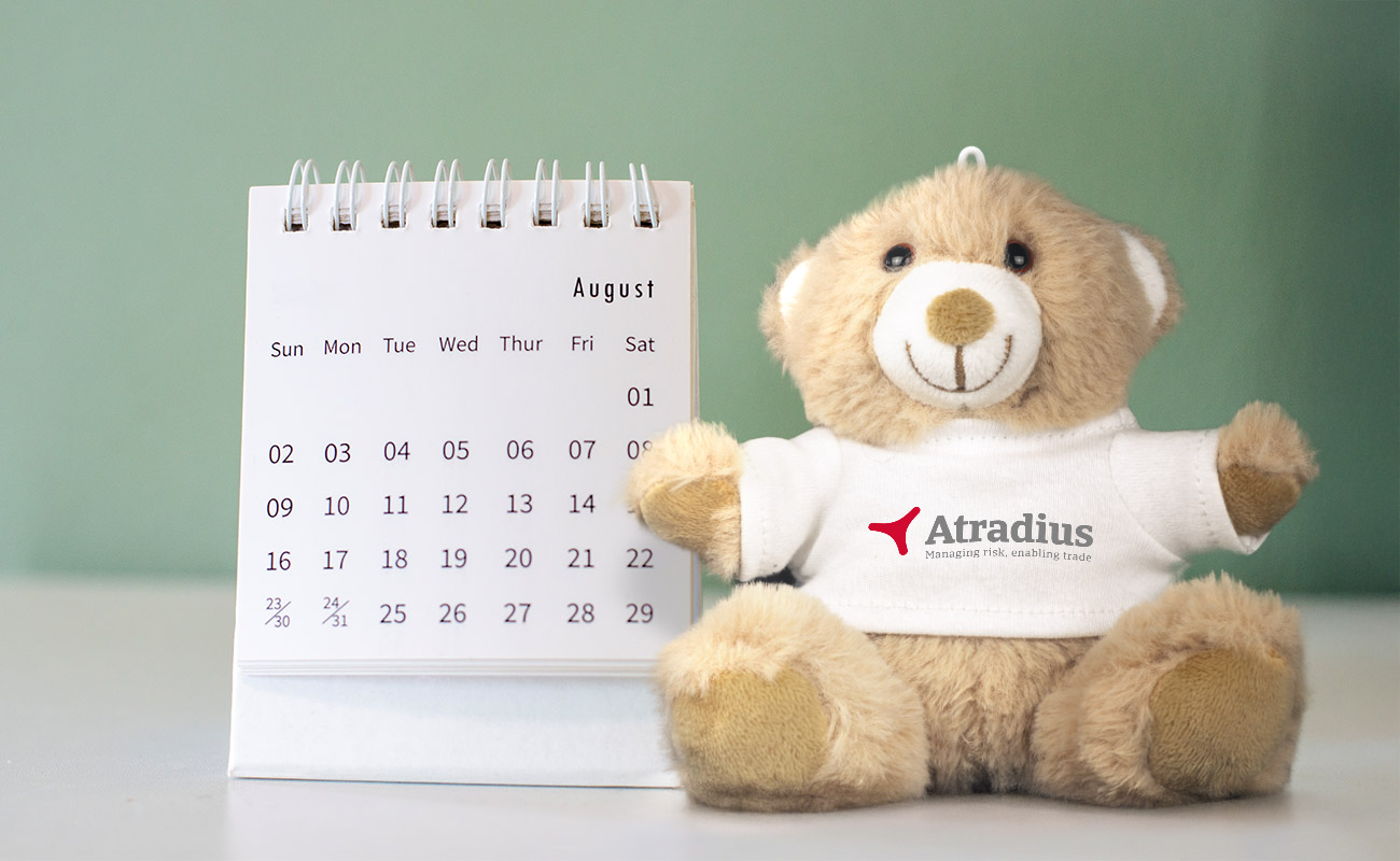 Paws - Teddy mackók logóval gallery thumbnail