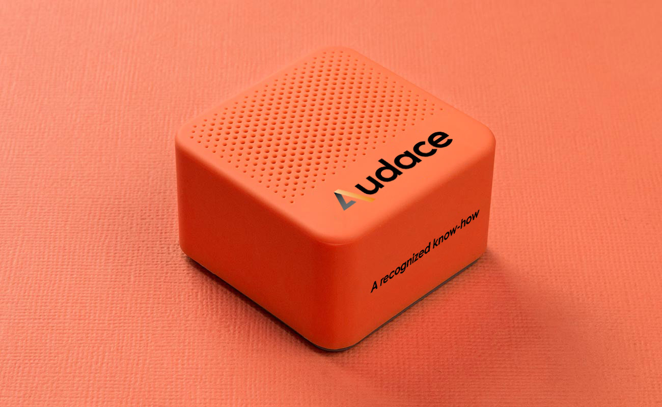 Ray - Reklámtoll Hangszórók gallery thumbnail